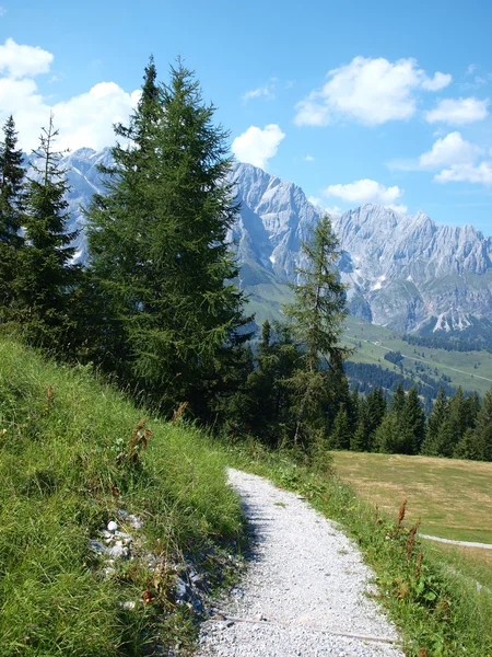 Veduta delle Alpi austriache — Foto Stock