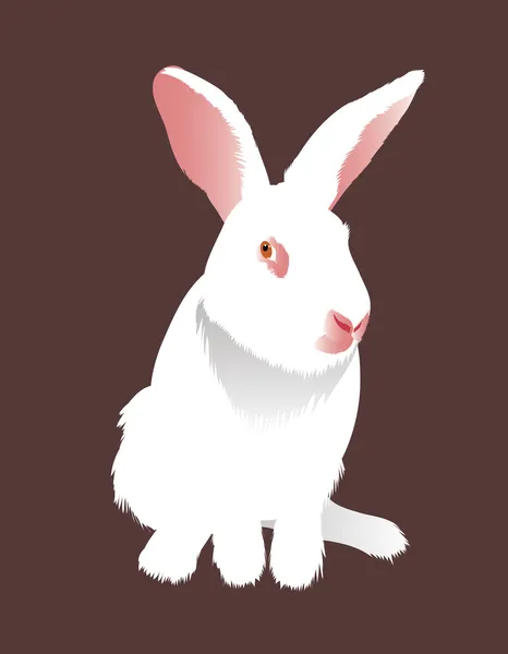 Conejo blanco — Vector de stock