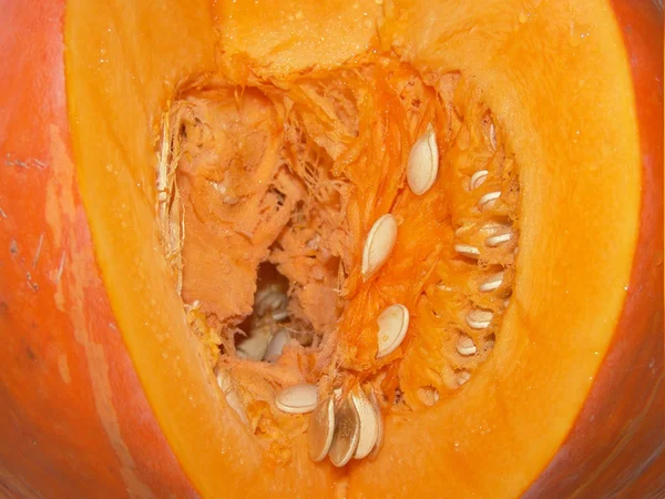 stock image Bright pumpkin closeup