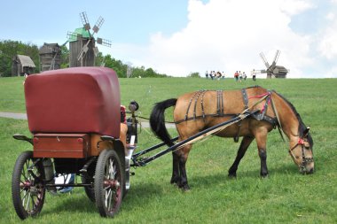 Horse-drawn vehicle clipart