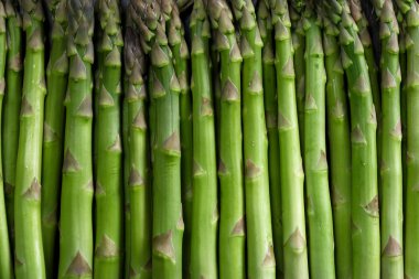 Asparagus background clipart