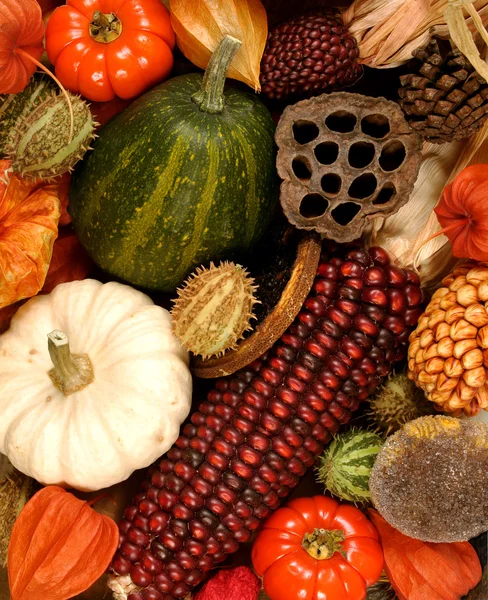 Autumn decorations — Stock Photo, Image