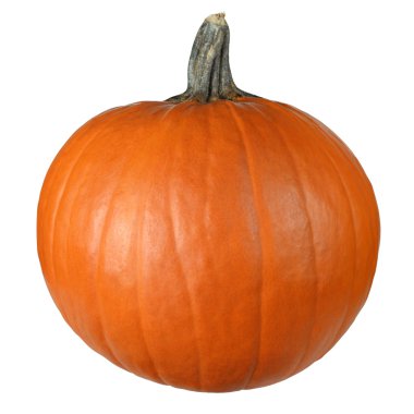 Pumpkin ready to carve clipart