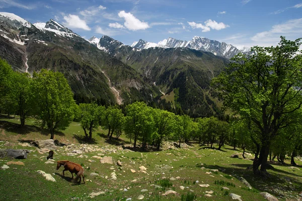 Himalaya krajobraz — Zdjęcie stockowe
