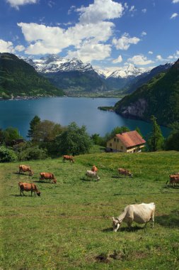 Lake Lucerne clipart