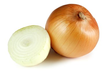 Onions clipart