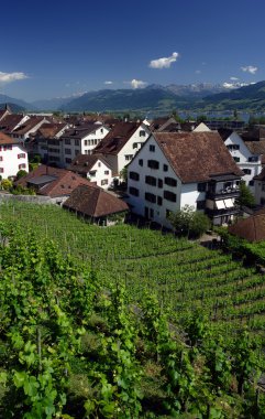 Vineyards in Rapperswil, Switzerland clipart