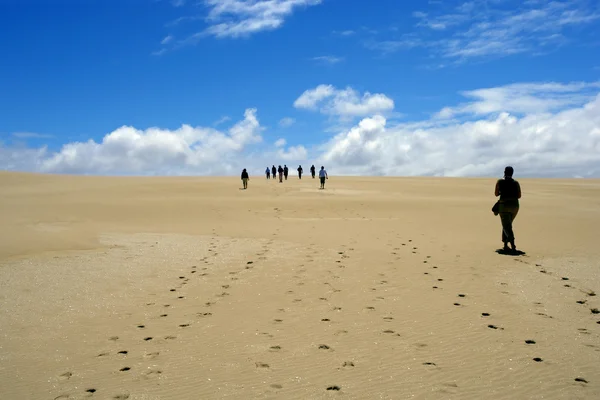 stock image Desert walk