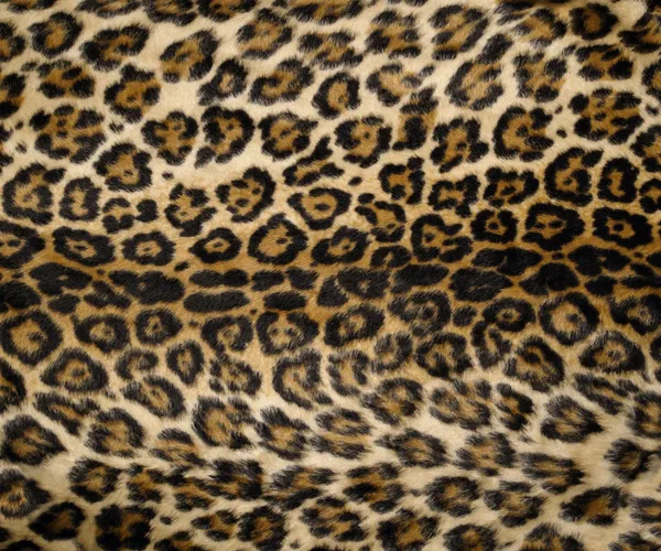 Leopard print background — Stock Photo, Image