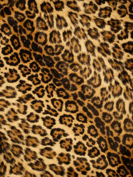 Leopard print background — Stock Photo, Image