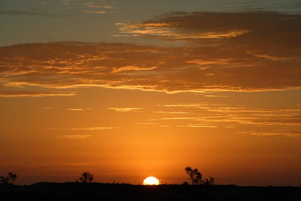 Australian outback sunset — Stockfoto