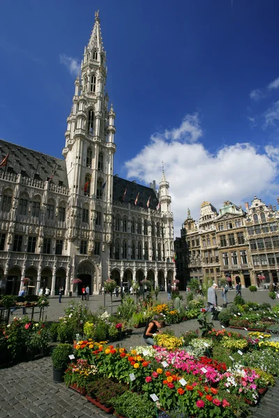 Grand-place, Brüsszel — Stock Fotó