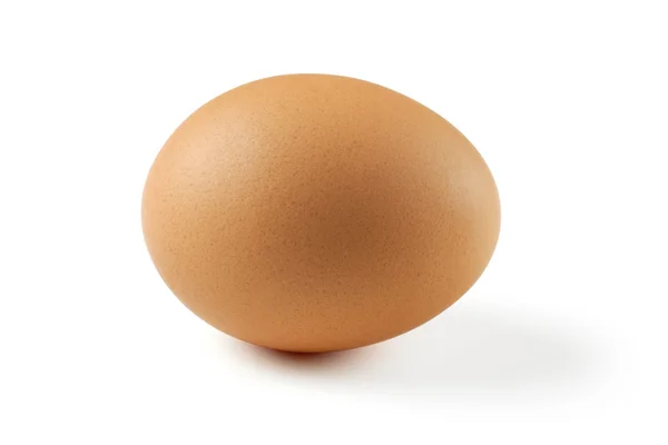 stock image Brown egg
