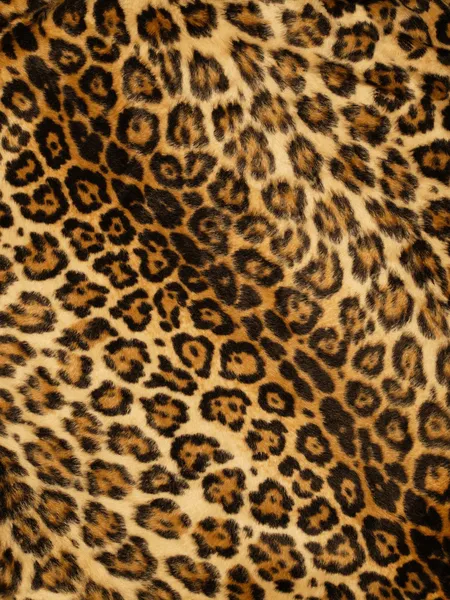 Leopard print background Stock Photos, Royalty Free Leopard print ...