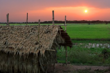 Cambodian sunrise clipart