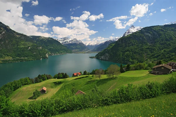 Lucernské jezero a Alpy — Stock fotografie