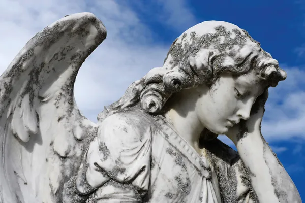 絶望的な天使 — ストック写真