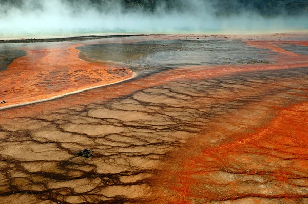 Yellowstone se vuelve naranja — Foto de Stock