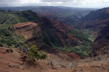 Waimea Kanyonu