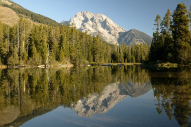Grand Teton Wilderness Reflective clipart
