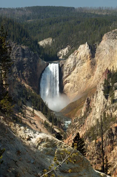 Yellowstone Büyük Kanyonu Stok Resim