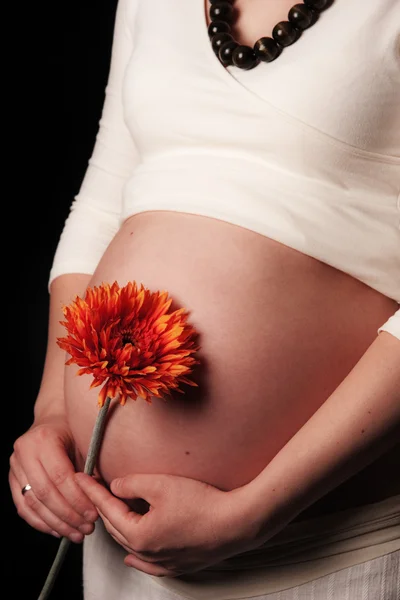 Schwangerschaft lizenzfreie Stockfotos