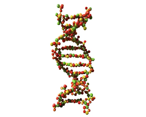 DNA made from apples — Stock Photo, Image