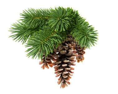 Fir tree with Christmas ball and tinsel clipart