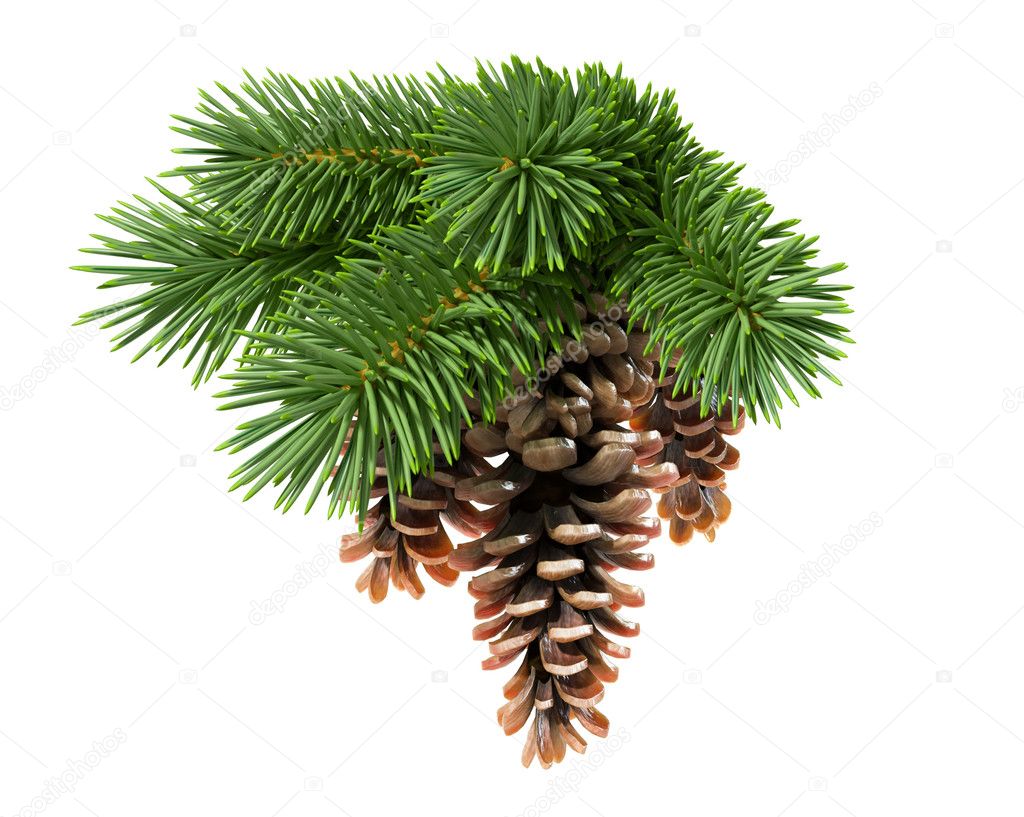 Fir tree with Christmas ball and tinsel