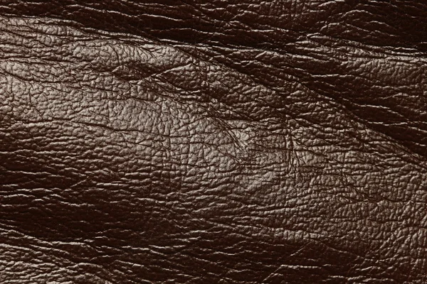 Kahverengi deri — Stok fotoğraf