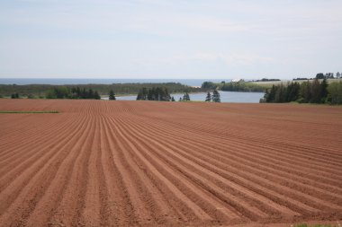 Red Soil clipart