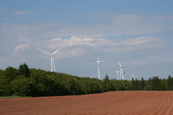 Červené půdy a větrné mlýny — Stock fotografie
