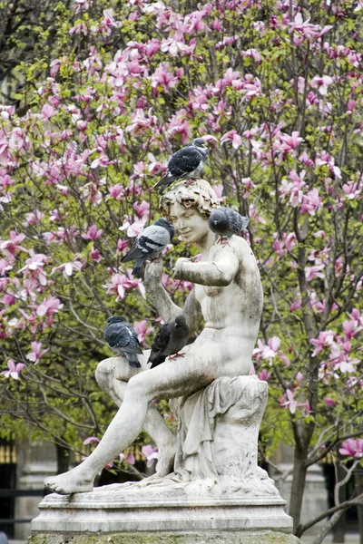 Statue with Pigeons — Stock Photo, Image