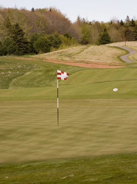 Golfflagga — Stockfoto