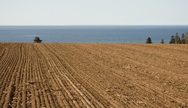 Tilled field by the ocean clipart