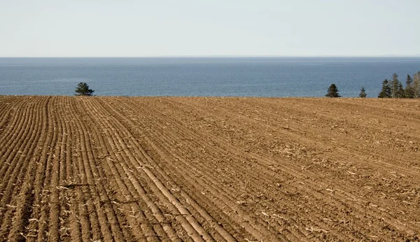Tilled field by the ocean — Stock Photo, Image