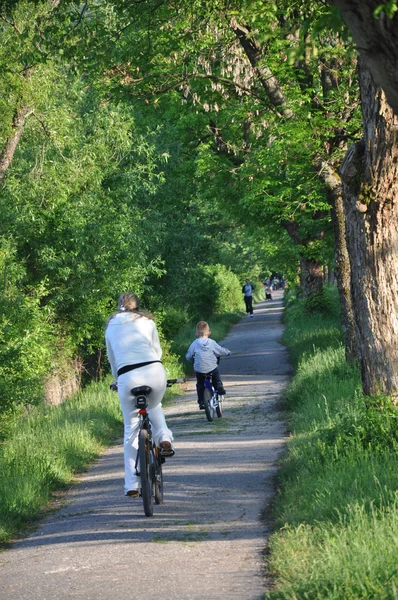 공원에서 자전거 — 스톡 사진