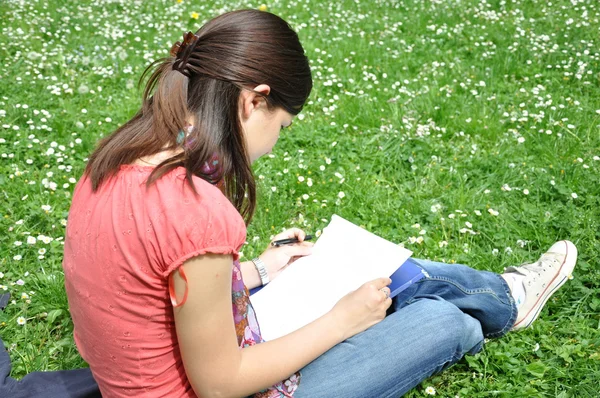 Young student learns in the park — Stock Photo, Image