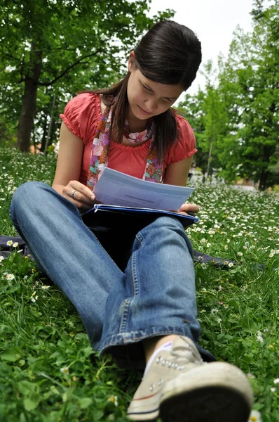 Jovem estudante aprende no parque — Fotografia de Stock