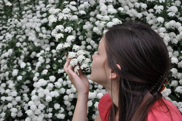 Jovem menina bonita cheira fluxo branco — Fotografia de Stock