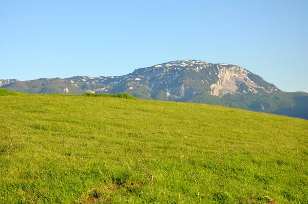 Stock image Big mountain landscape