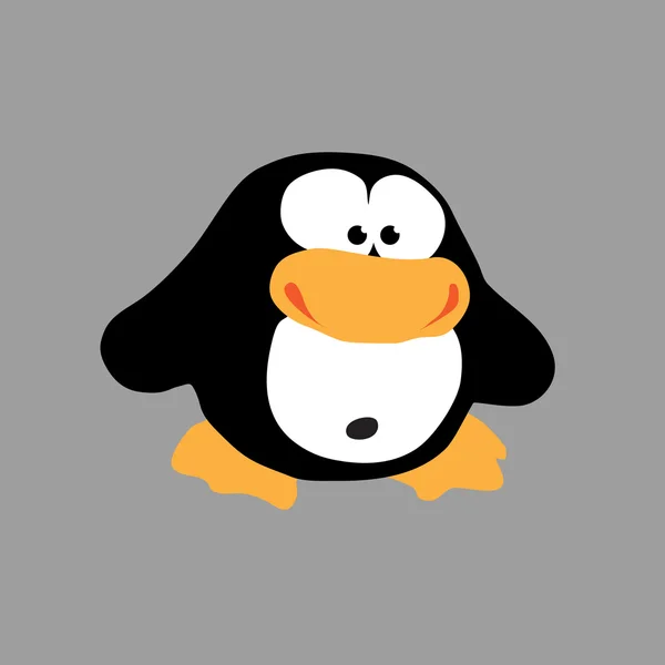 Soort pinguïn — Stockvector