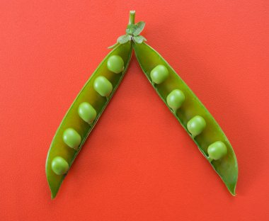 Green pea pod clipart