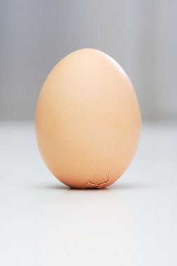 Egg of Columbus clipart