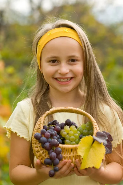Winogron w koszyku — Zdjęcie stockowe