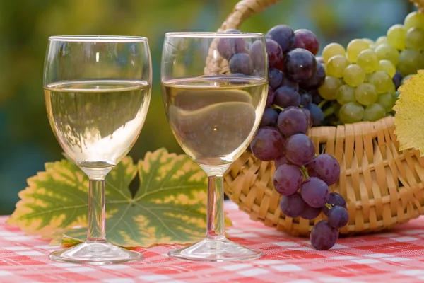 stock image Wine and grape