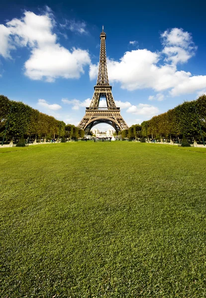 与巨大的草美丽的埃菲尔铁塔 — 图库照片
