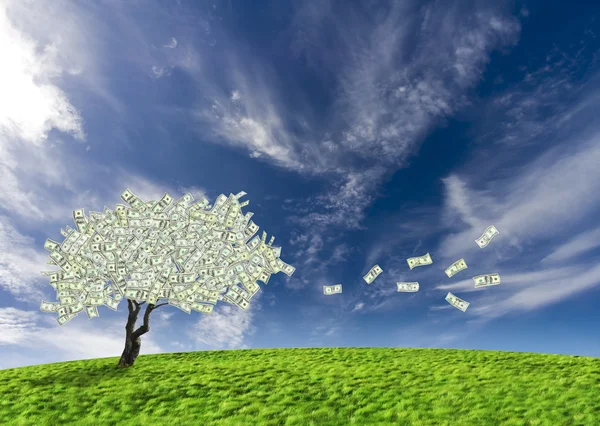 Dollar kontant träd — Stockfoto