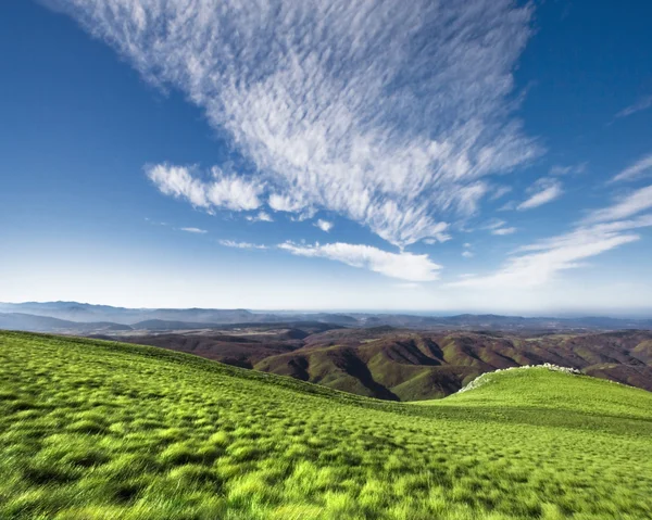 stock image Greenery and blue sky