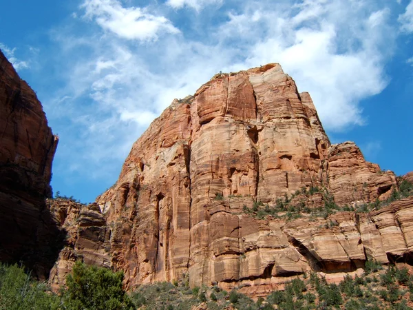 Zion national park